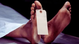 M7eWvPrHP5e9BBFuUe2r