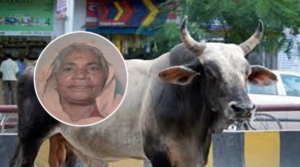 Screenshot 2025-01-19 183202