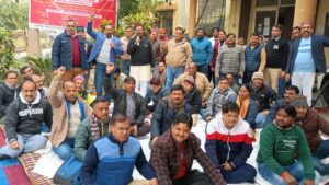 WhatsApp Image 2025-01-03 at 14.26.45