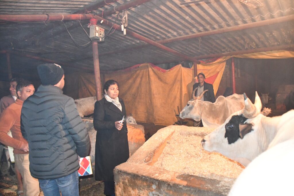 WhatsApp Image 2025-01-06 at 16.53.46 (1)