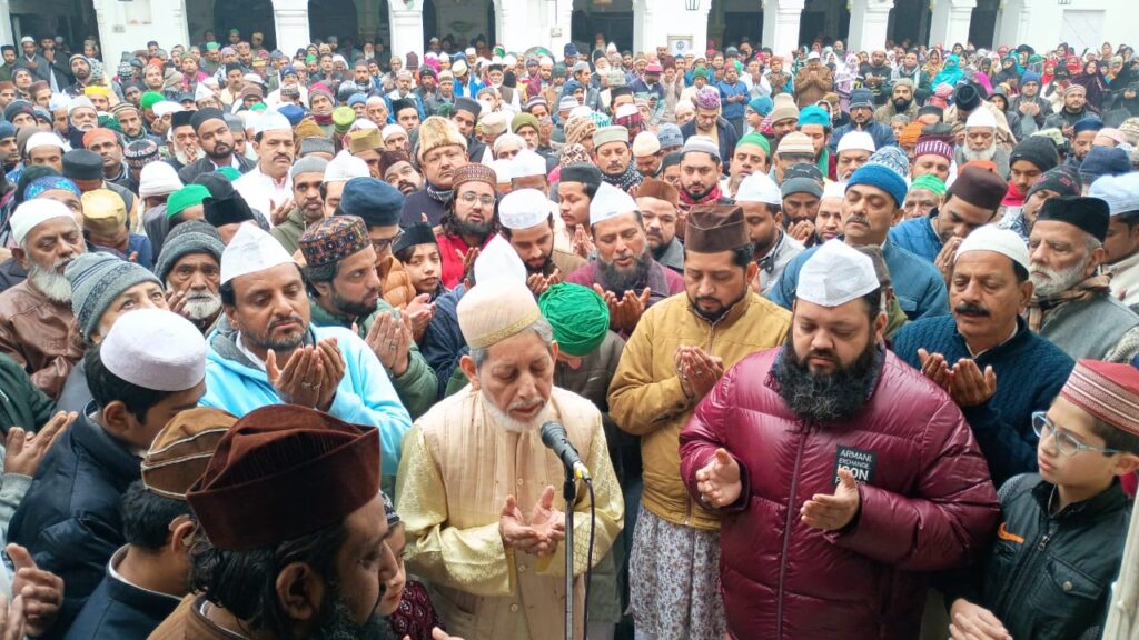 WhatsApp Image 2025-01-07 at 18.03.46