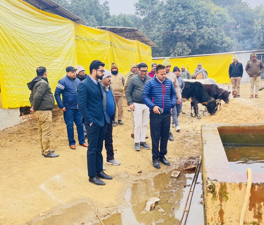 WhatsApp Image 2025-01-08 at 19.08.51