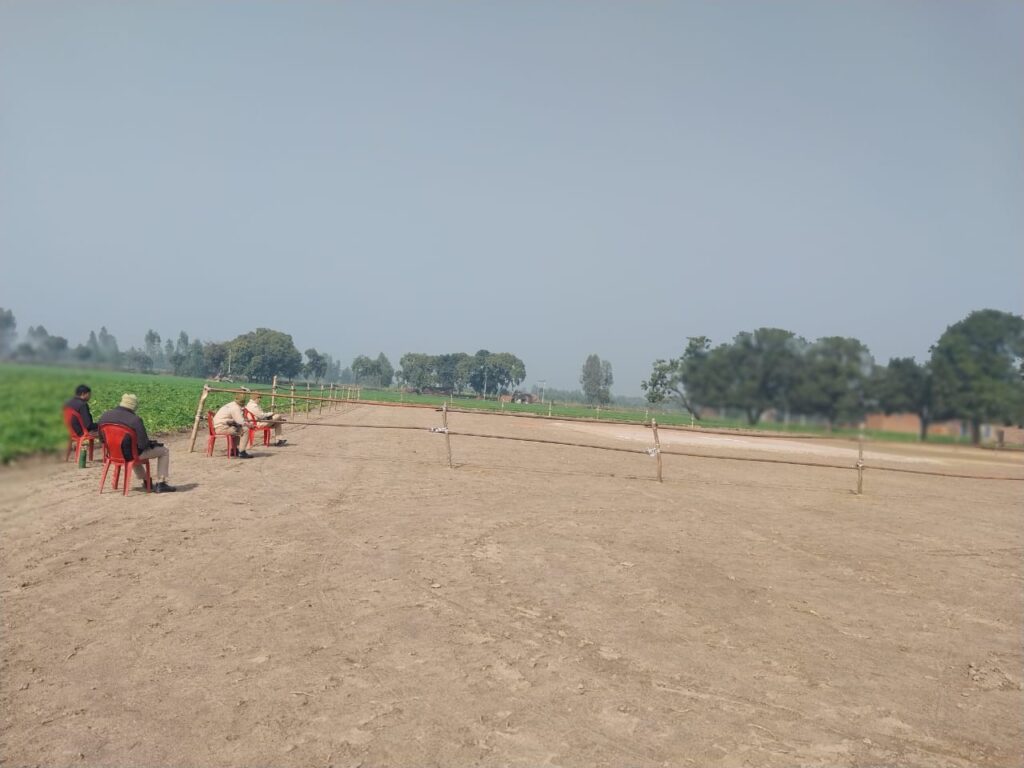 WhatsApp Image 2025-01-19 at 17.40.03