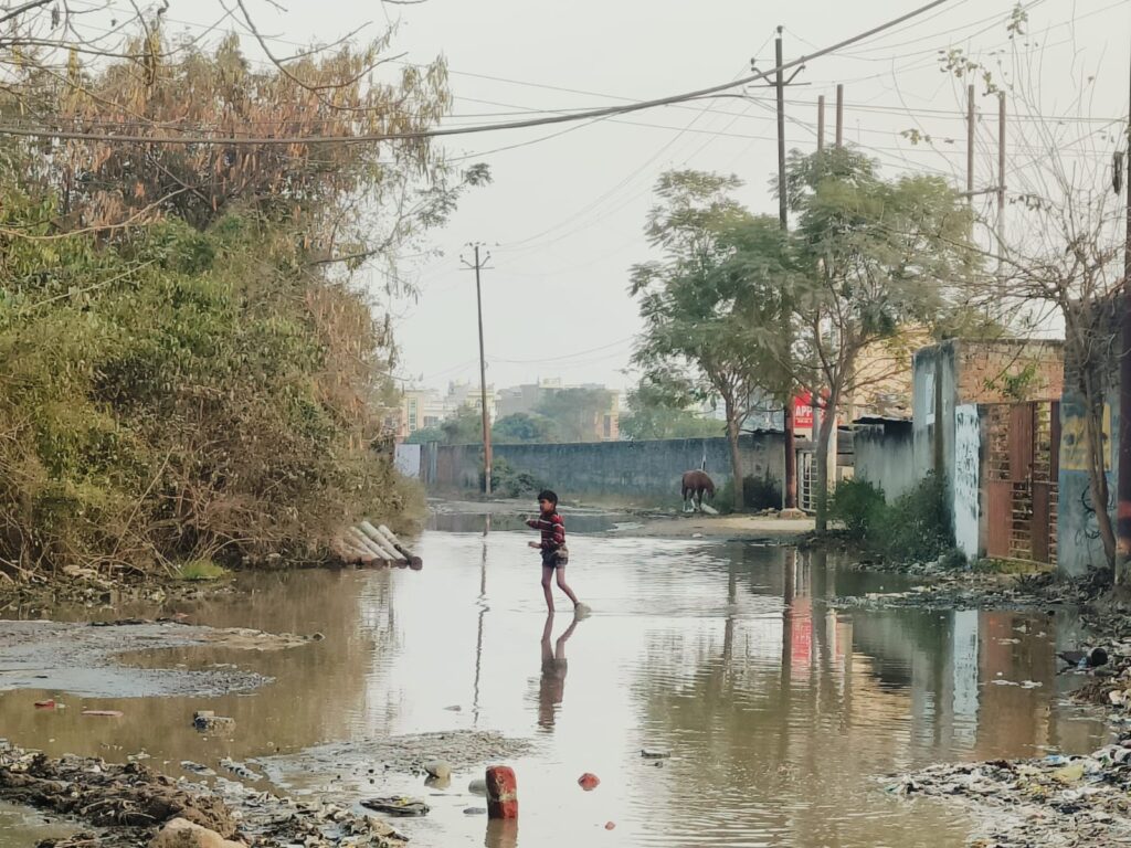 WhatsApp Image 2025-01-24 at 18.05.52