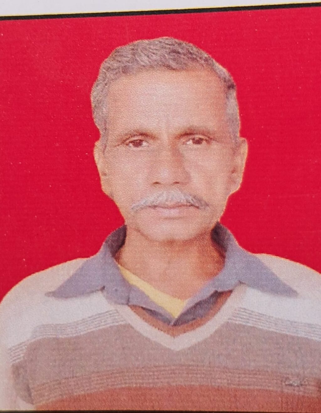 WhatsApp Image 2025-02-15 at 19.54.46