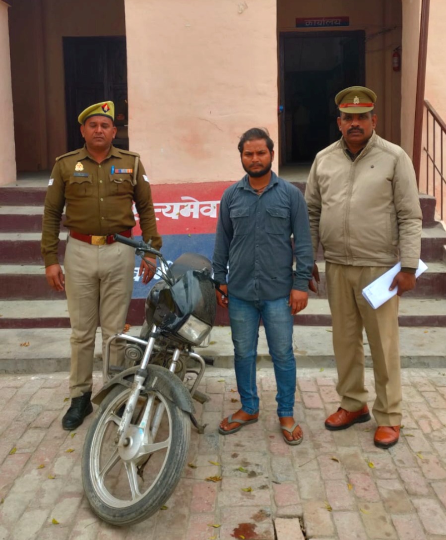 WhatsApp Image 2025-02-20 at 19.01.28