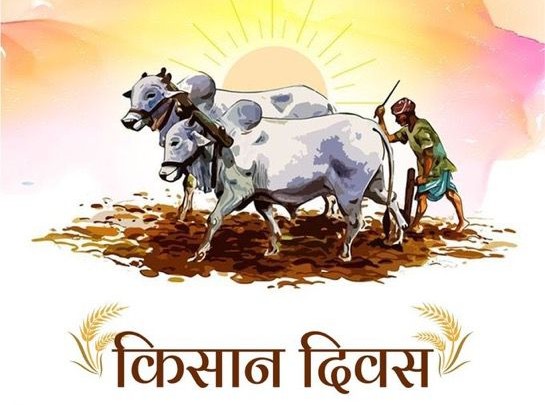 WhatsApp-Image-2024-12-23-at-15.42.10_3223b53c