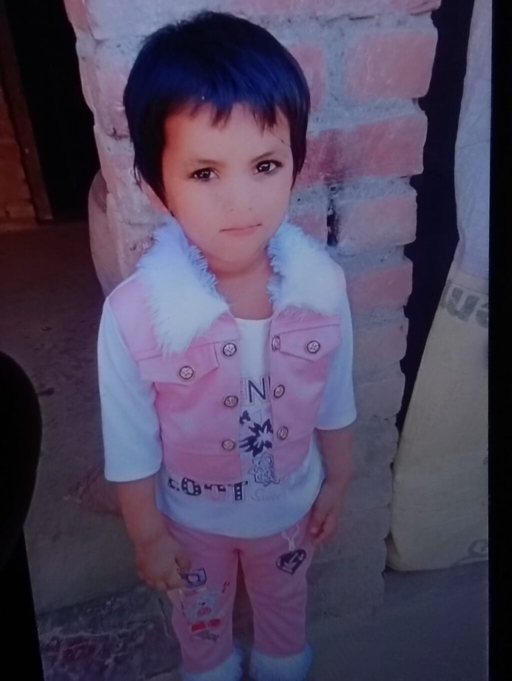 WhatsApp Image 2025-03-05 at 17.22.28