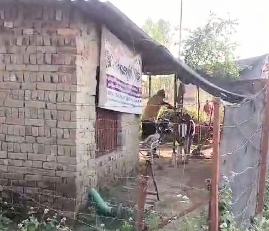 WhatsApp Image 2025-03-08 at 17.11.12 (1)