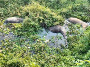 WhatsApp Image 2025-03-12 at 20.05.31