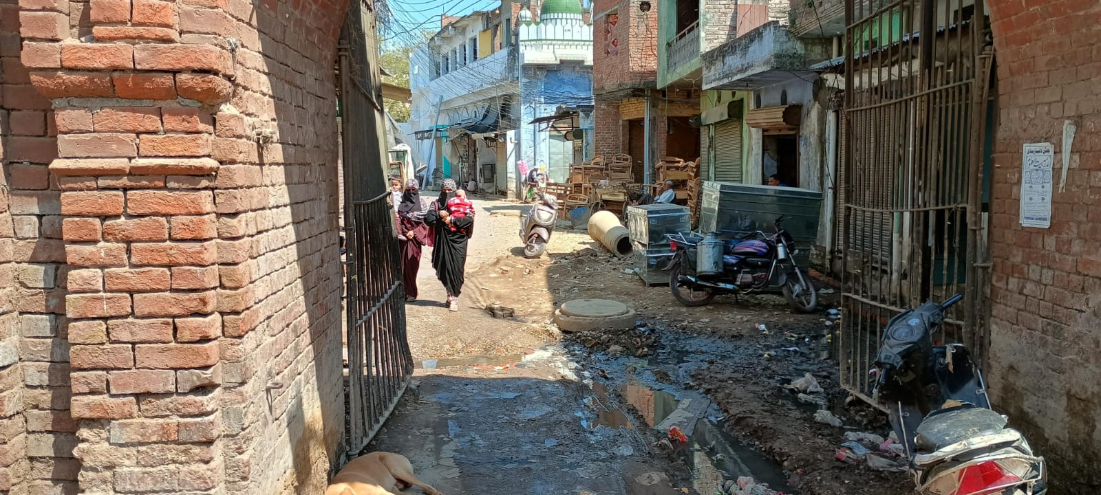 WhatsApp Image 2025-03-17 at 14.35.58