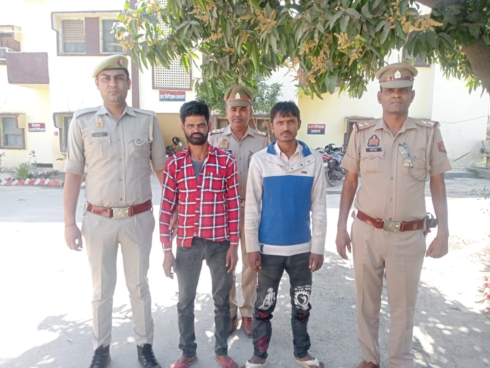 WhatsApp Image 2025-03-18 at 17.55.07