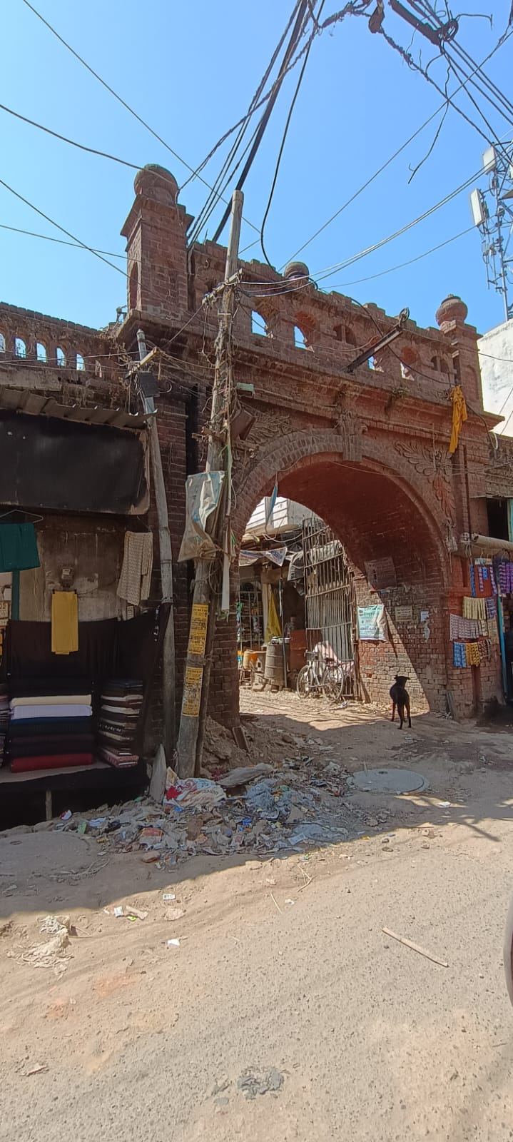 WhatsApp Image 2025-04-07 at 15.16.25