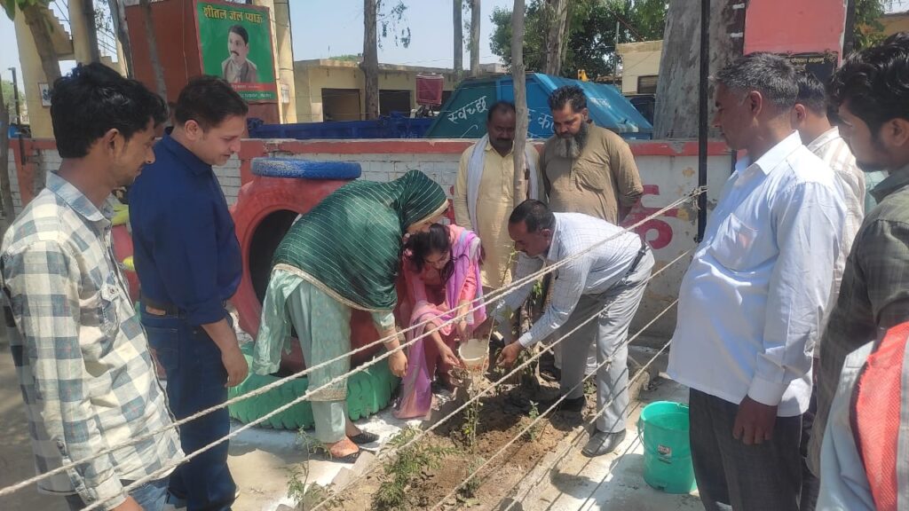 WhatsApp Image 2025-04-14 at 7.14.08 PM