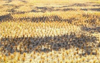 Screenshot 2025-05-22 195531