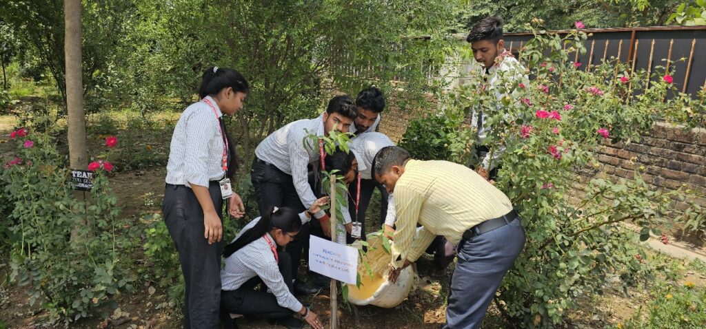 WhatsApp Image 2025-06-05 at 5.37.13 PM