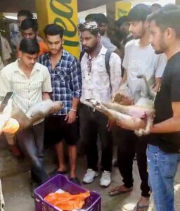 WhatsApp Image 2025-06-09 at 7.13.02 PM