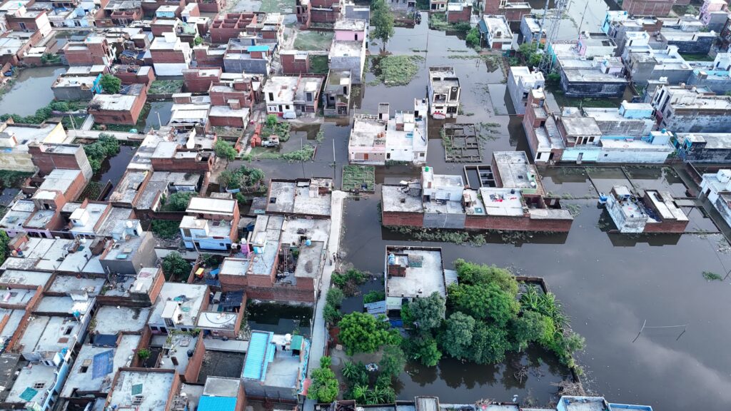 WhatsApp Image 2025-06-17 at 8.19.49 PM