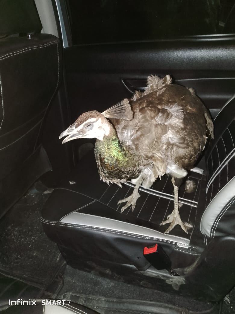 WhatsApp Image 2025-06-25 at 6.53.35 PM