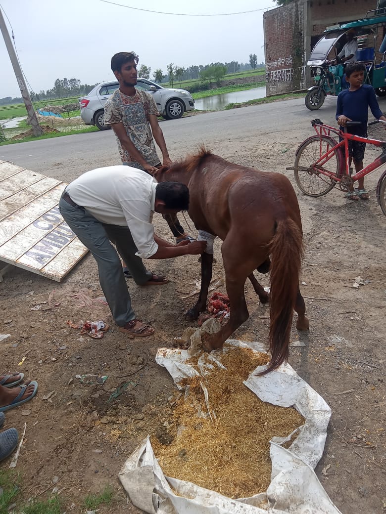 WhatsApp Image 2025-07-14 at 2.32.47 PM