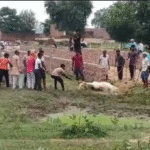 पशु प्रेमी विकेन्द्र शर्मा ने थाना प्रभारी निरीक्षक बिनावर के खिलाफ कार्यवाही हेतु उच्चधिकारियों को भेजा पत्र