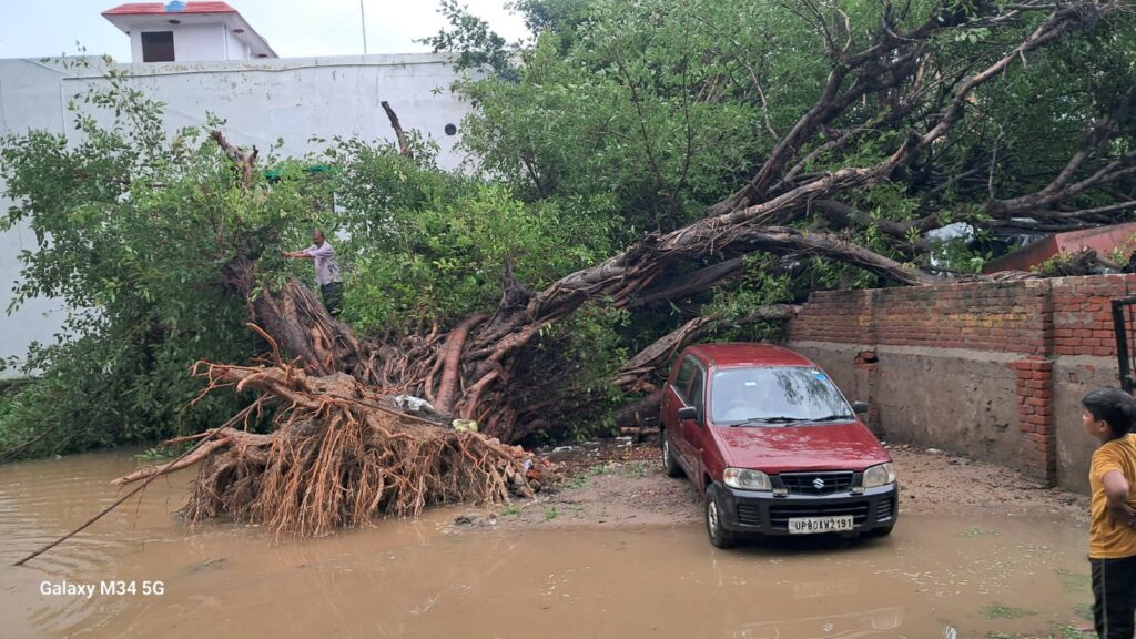 WhatsApp Image 2025-08-05 at 5.36.52 PM