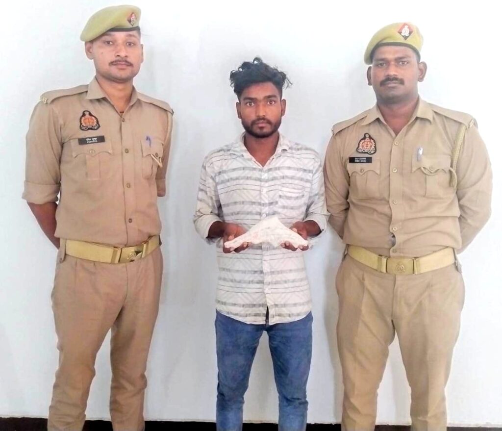 WhatsApp Image 2025-08-10 at 6.08.50 PM