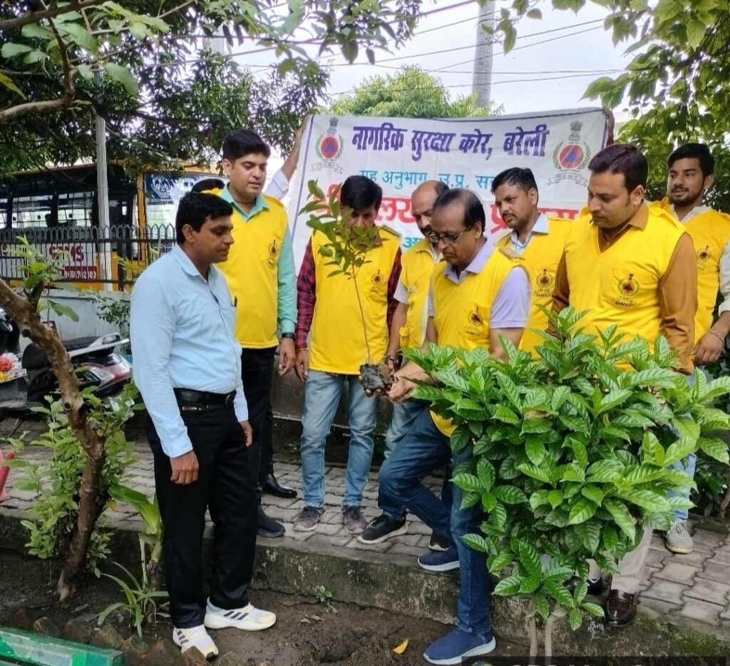 WhatsApp Image 2025-08-11 at 7.30.05 PM