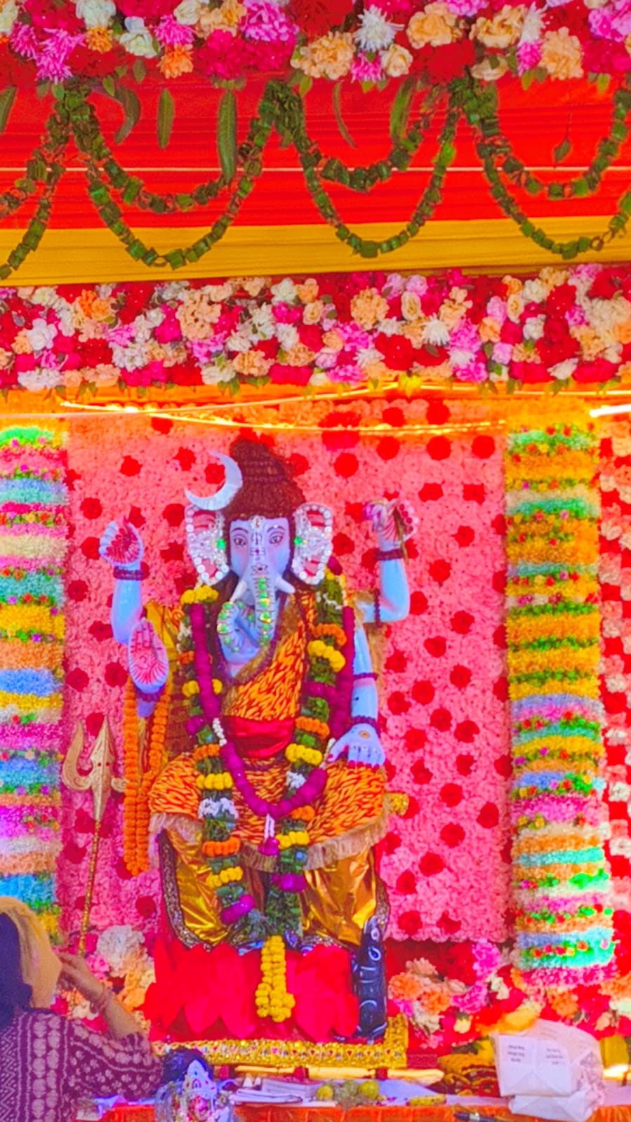 WhatsApp Image 2025-08-29 at 6.50.00 PM