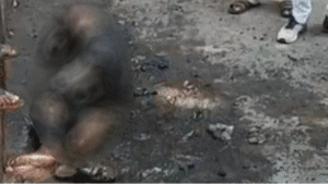 Screenshot 2025-09-10 180918