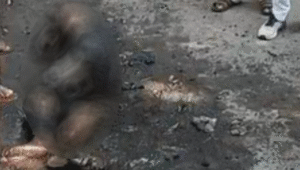 Screenshot 2025-09-12 180456