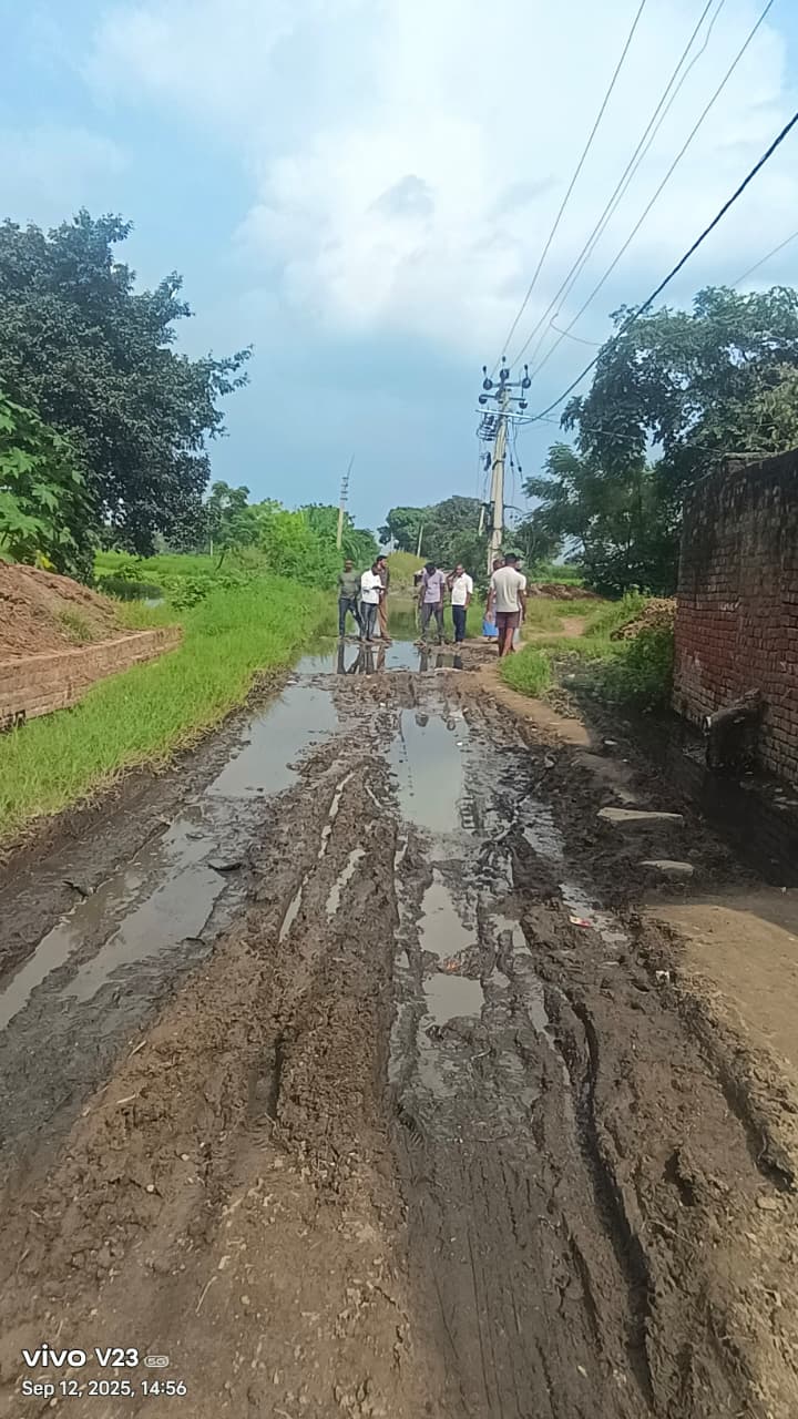 WhatsApp Image 2025-09-12 at 6.24.31 PM