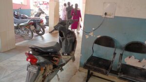 WhatsApp Image 2025-09-12 at 8.26.02 PM