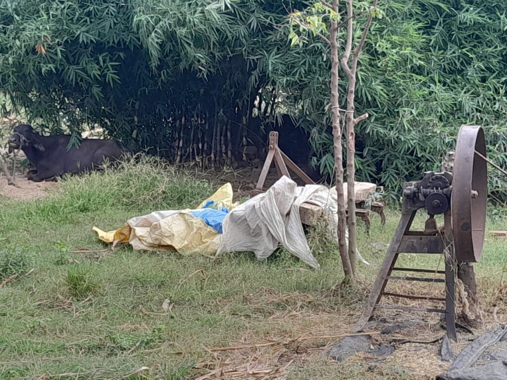 WhatsApp Image 2025-09-13 at 5.41.31 PM