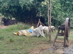 WhatsApp Image 2025-09-13 at 5.41.31 PM