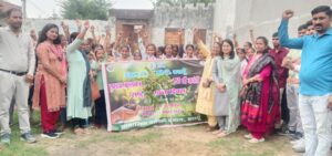 WhatsApp Image 2025-10-31 at 7.00.20 PM