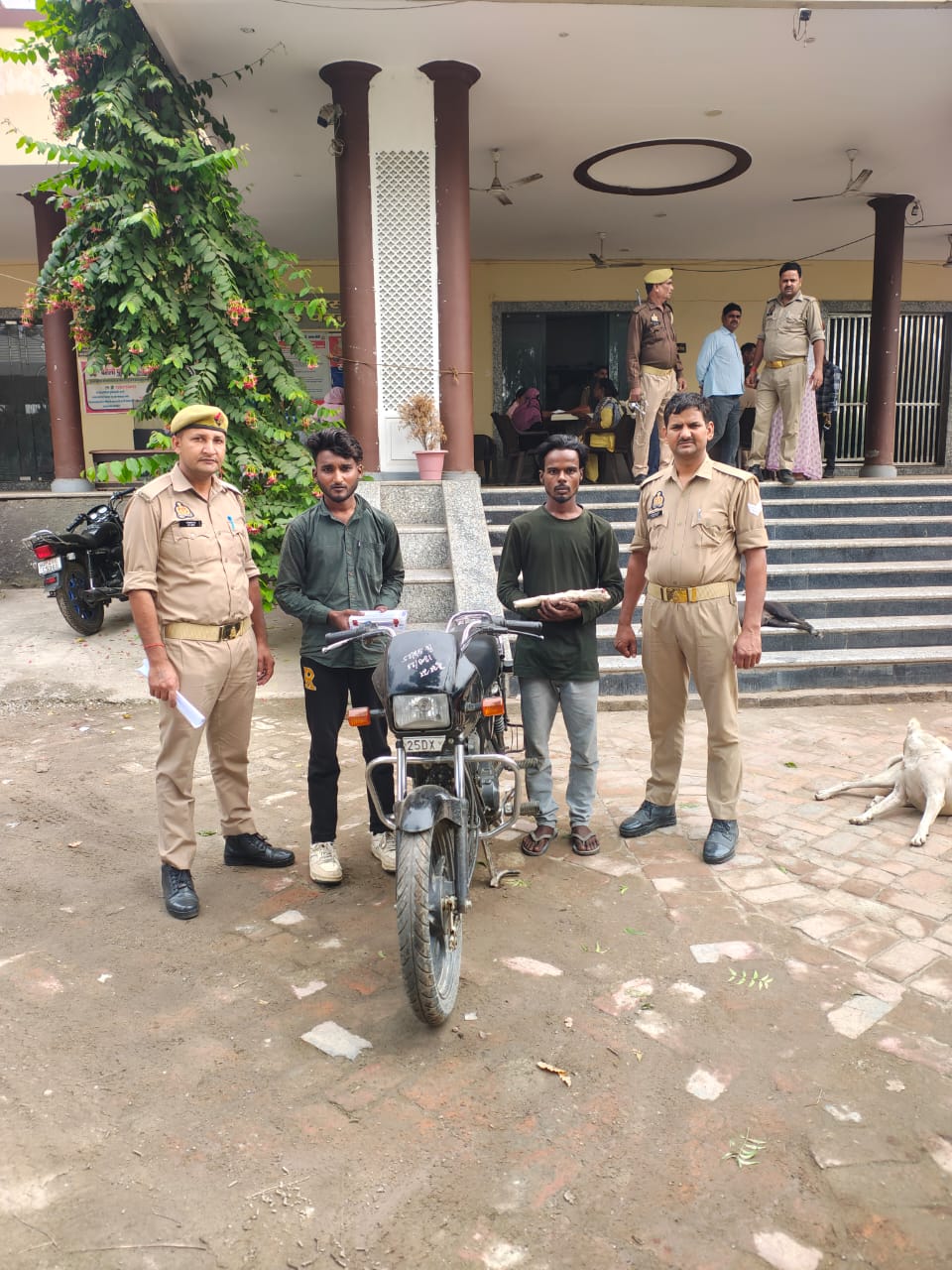 WhatsApp Image 2025-10-31 at 7.05.01 PM