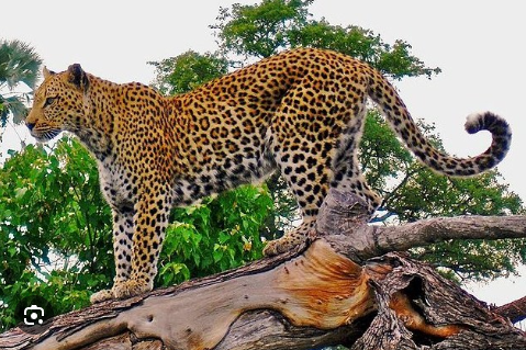 Screenshot 2025-11-27 185430