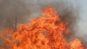 Screenshot 2025-12-12 191753