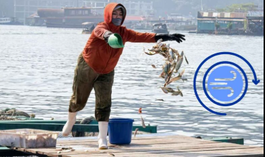 Screenshot 2025-12-29 185241