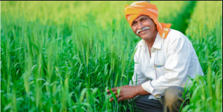 Screenshot 2025-12-29 185422