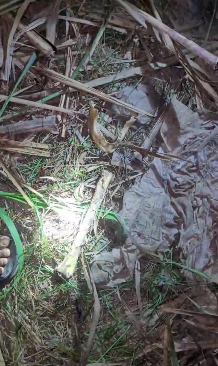 WhatsApp Image 2025-12-03 at 6.54.44 PM