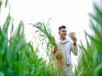 Screenshot 2026-01-05 184530