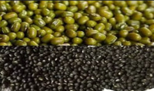 Screenshot 2026-01-16 185711