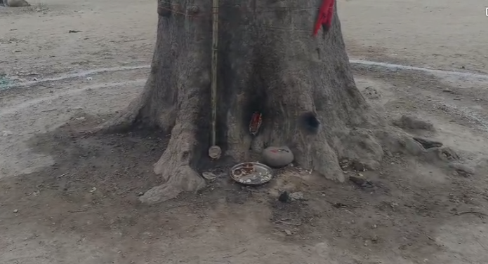 Screenshot 2026-01-25 174220