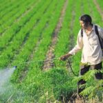 Screenshot 2026-01-30 200933