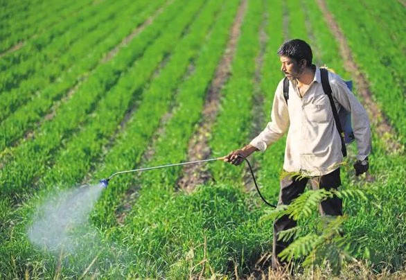 Screenshot 2026-01-30 200933