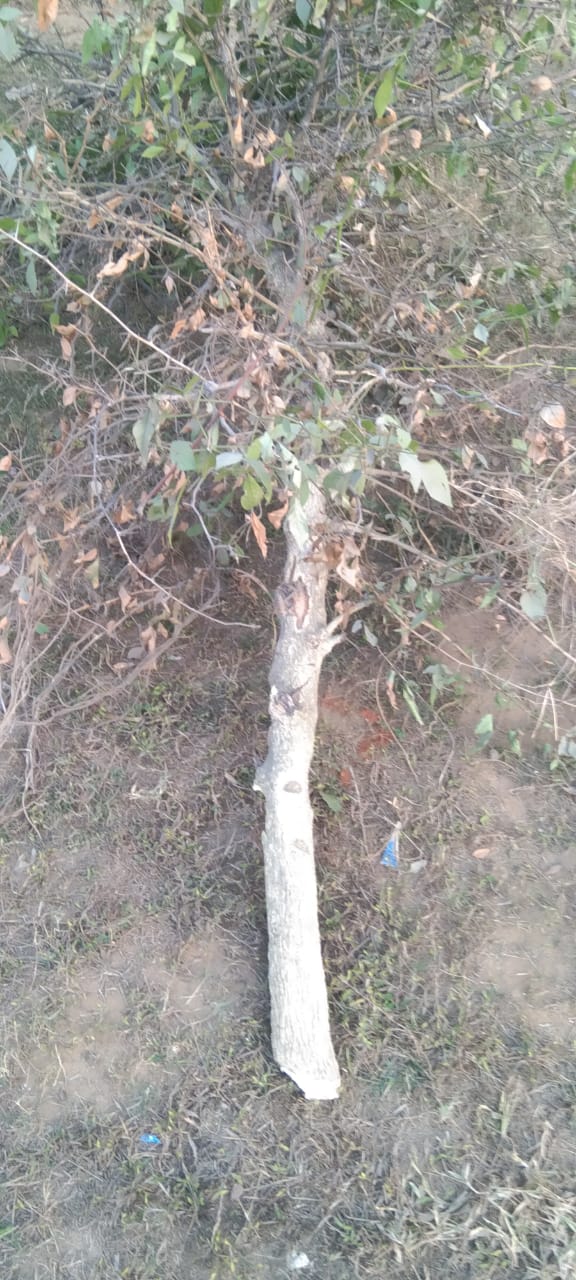 WhatsApp Image 2026-01-12 at 6.16.42 PM