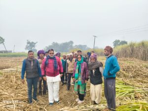 WhatsApp Image 2026-01-15 at 7.19.25 PM (1)