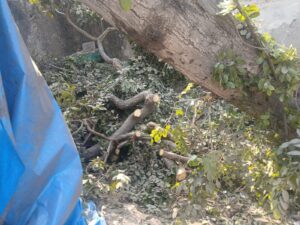 WhatsApp Image 2026-01-20 at 3.18.49 PM